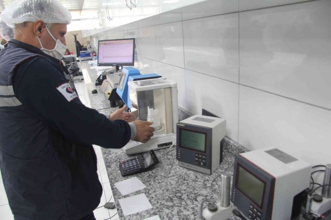 Deniz Yosunlarından Ambalaj Üretildi