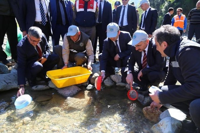 Trabzon’da 2022 Yılında 2 Milyon 100 Bin Adet Yavru Doğal Alabalık Üretimi Yapıldı