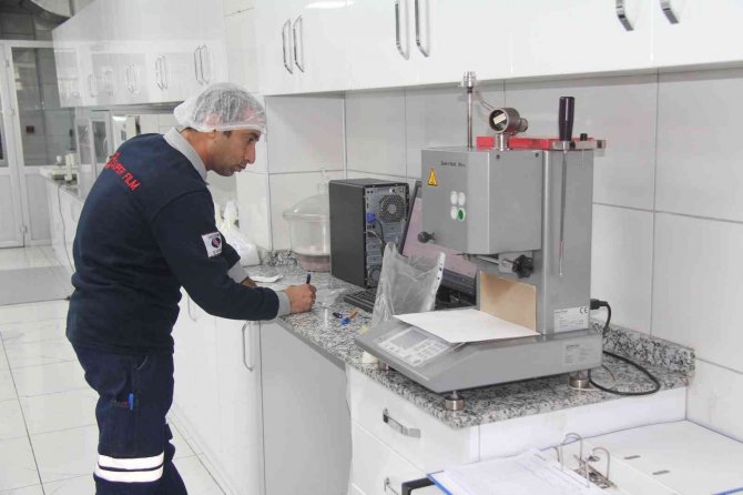 Deniz Yosunlarından Ambalaj Üretildi