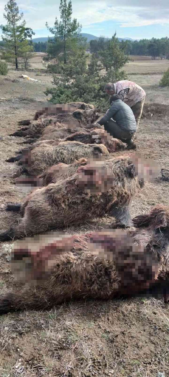 Yabancı Turistlerden Gölhisar’da Sürek Avı