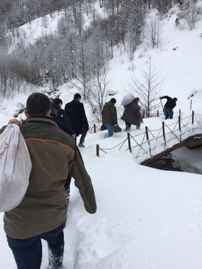 Trabzon’da Bin 300 Adet Sülün Doğaya Bırakıldı