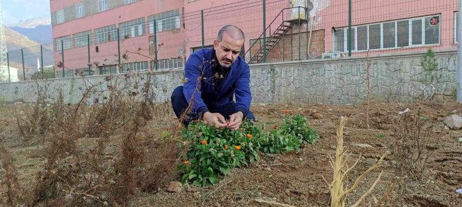 Küresel Isınma İle Bazı Bitki Ve Hayvan Türleri Yok Olma Tehlikesinde