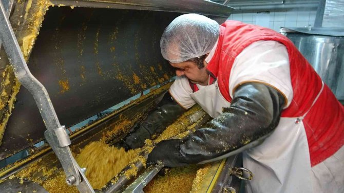 Günde 60 Ton Üretiyor...tam Bir Şifa Kaynağı