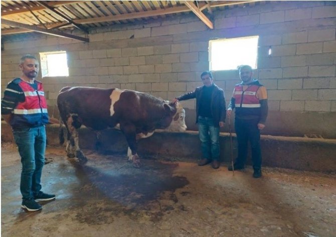 Iğdır Jasat’tan Büyük Başarı: 111 Olay Aydınlatıldı
