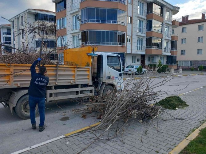Karesi Belediyesi’nden Ağaçlara Kış Bakımı