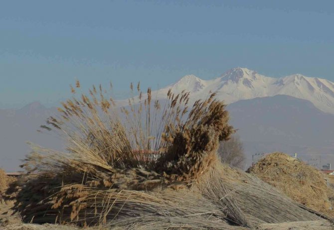 Gelmeyen Kış Kamışı Da Vurdu