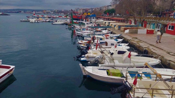 Marmara’da Karidese Son Hafta