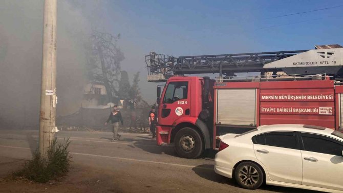 Yangın Devasa Ağacı Sardı, Ekiplerin Müdahalesi İle Eve Sıçramadan Söndürüldü