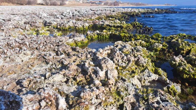 Van Gölü’nde Su Seviyesi Düşmeye Devam Ediyor