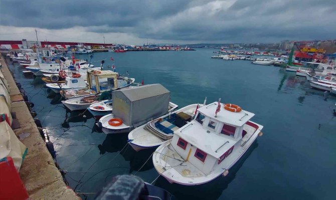 Marmara’da Karidese Son Hafta