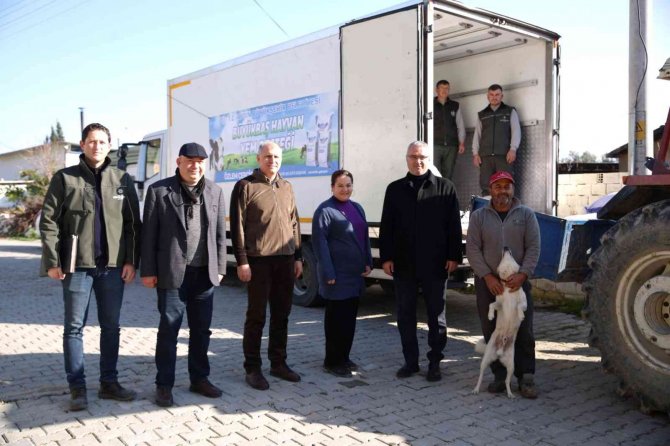 Aydın Büyükşehir Belediyesi’nden Küçük Aile İşletmelerine Yem Desteği Sürüyor