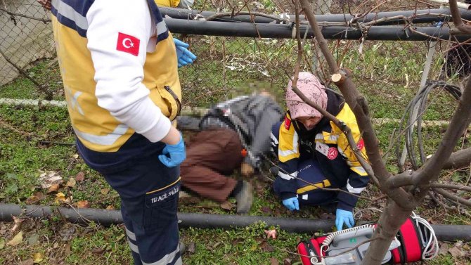Bahçede Çalışırken Kalp Krizine Yenik Düştü