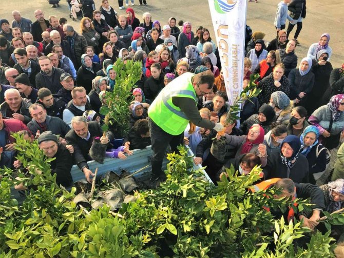 Altınordu Belediyesi 341 Bin Fidanı Toprakla Buluşturdu