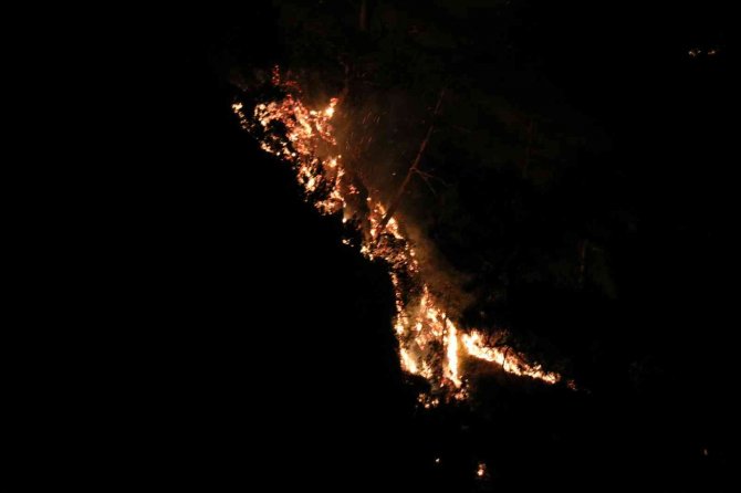 Alanya’daki Orman Yangını Kontrol Altına Alındı