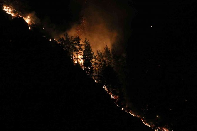 Alanya’daki Orman Yangını Kontrol Altına Alındı