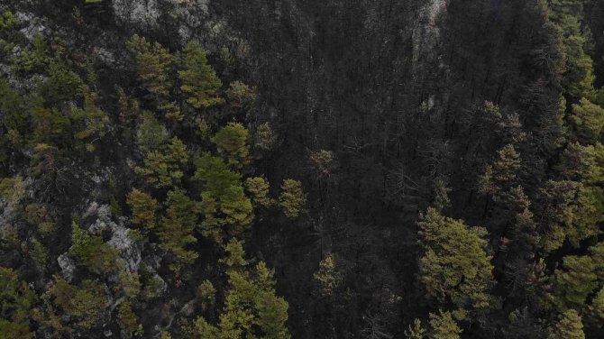 Alanya’da Yanan Ormanlık Alan Havadan Görüntülendi