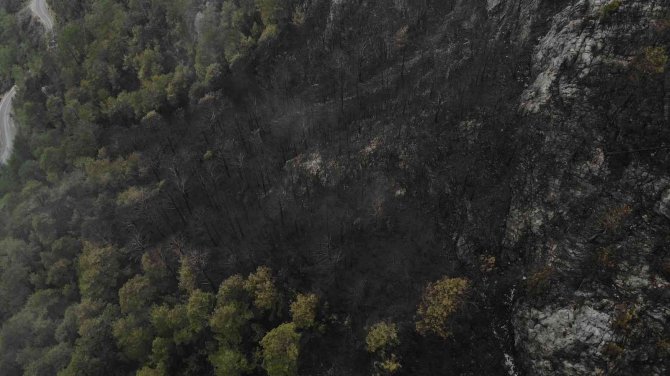 Alanya’da Yanan Ormanlık Alan Havadan Görüntülendi