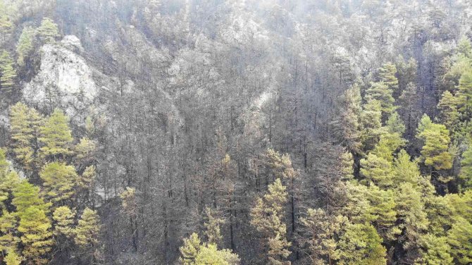 Alanya’da Yanan Ormanlık Alan Havadan Görüntülendi