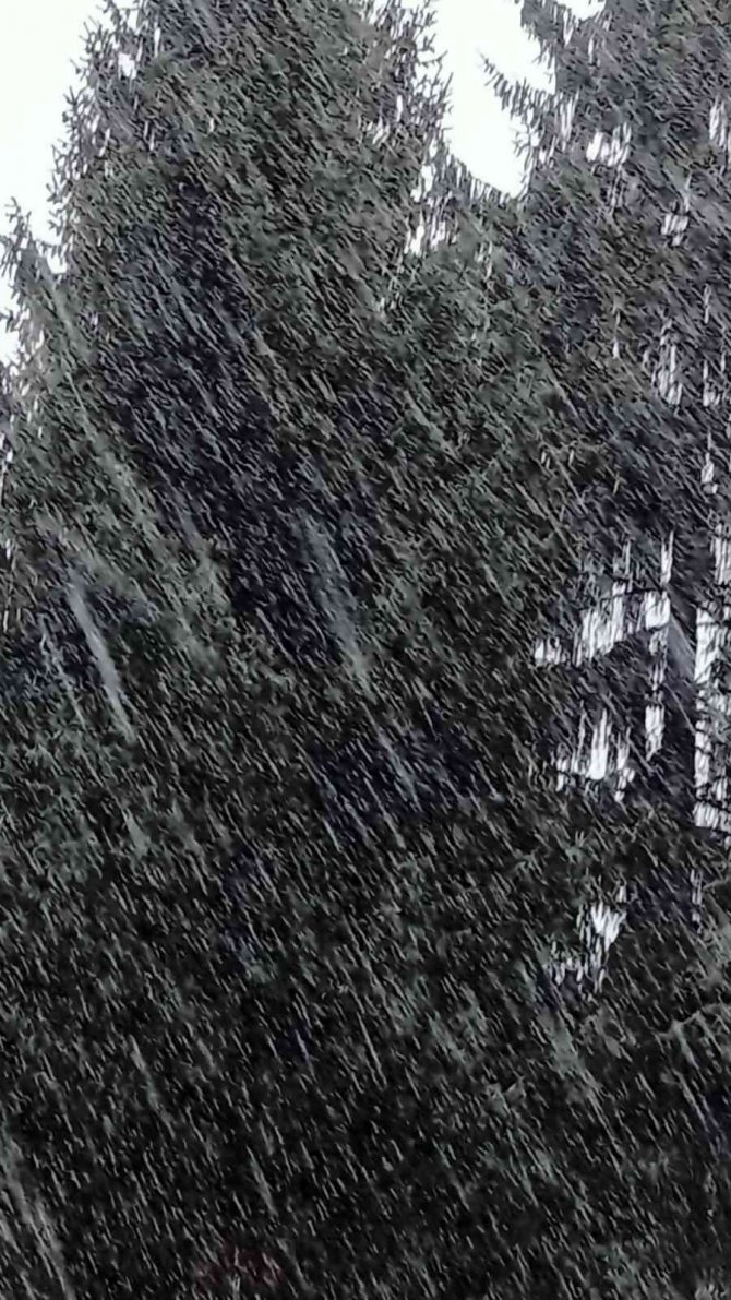 Abant’ta Kar Yağışı Başladı