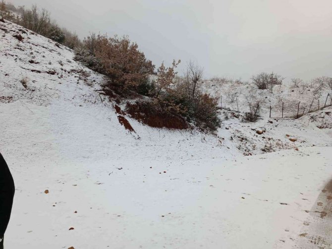 Silvan Beyaza Büründü