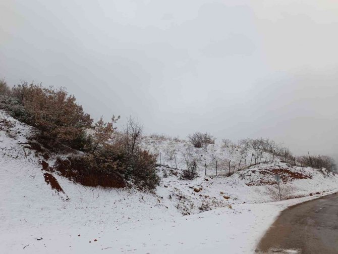 Silvan Beyaza Büründü