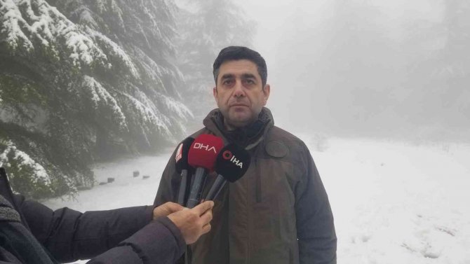 Karla Kaplı Spil Dağında Yaban Hayatı Unutulmadı