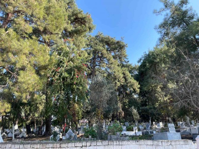 Anne Ve Ağabeyinin Mezarının Bulunduğu Kabristanda Gönüllü Temizlik Yapıyor