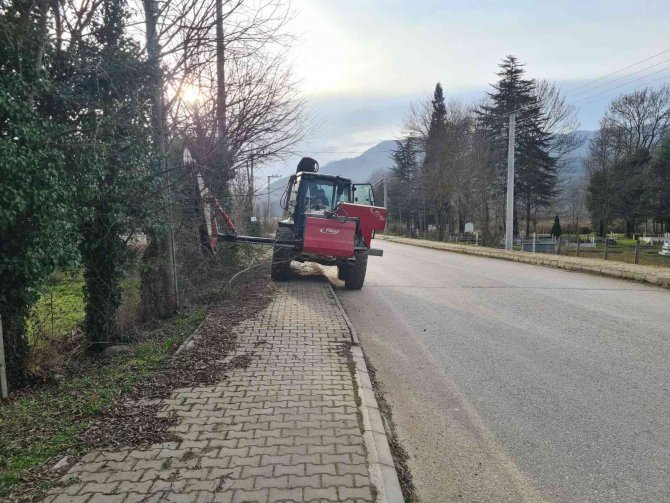 Kaldırımı Kapatan Ağaçlara Budama