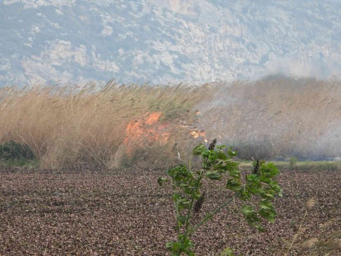 Sazlık Alanda Yangın Çıkartan Şahıs Suçüstü Yakalandı