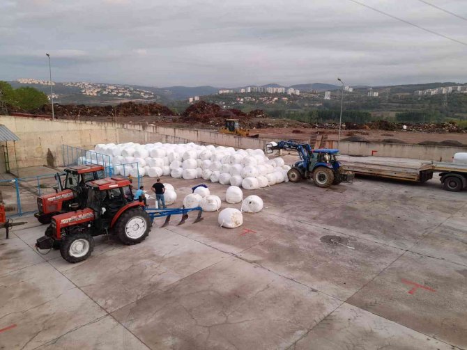 Yüzde 100 Hibeli Silaj Başvuruları Süresi Uzatıldı