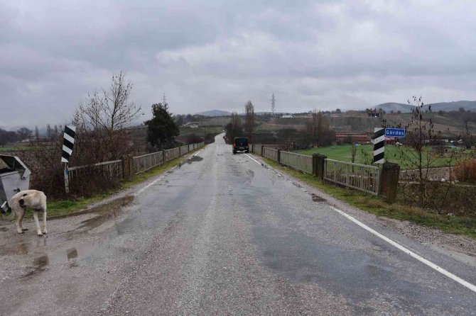 Sağanak Yağış Sonrası Gördes Çayı Taştı
