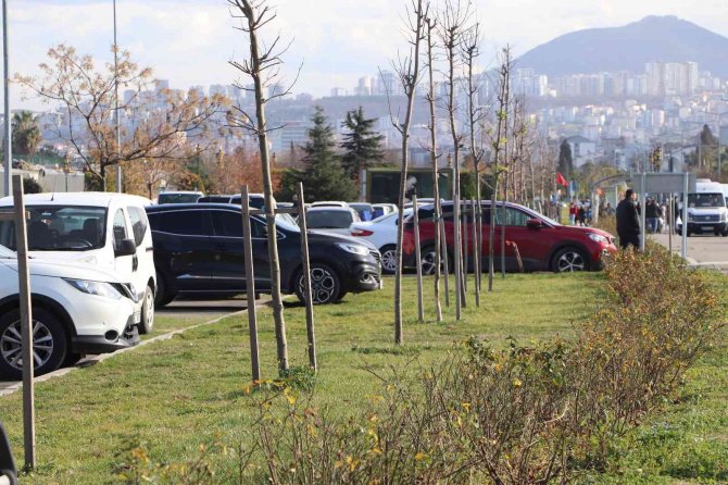 Parkta Sınır Tanımadılar