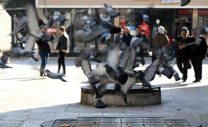 Son Yılların En Sıcak Kış Ayını Geçiren Erzincan’da Vatandaş Şaşkın