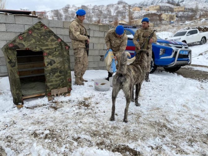 Tunceli’de Jandarmadan Yürekleri Isıtan Davranış