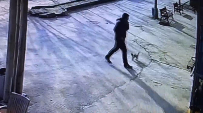 Yaralı Kedi Hastane Aciline Gitti