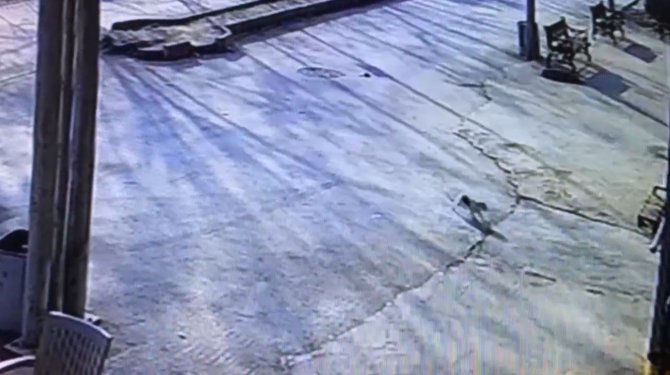 Yaralı Kedi Hastane Aciline Gitti