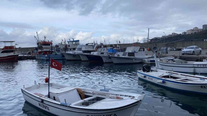 Hamsi Olmadığı İçin Sezonu Kapattılar