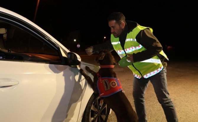 Jandarma Ekiplerinden Şok Uygulama