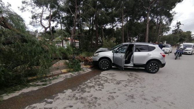 Kontrolden Çıkan Araç Kaldırımdaki Ağacı Yerinden Söktü: 1 Yaralı