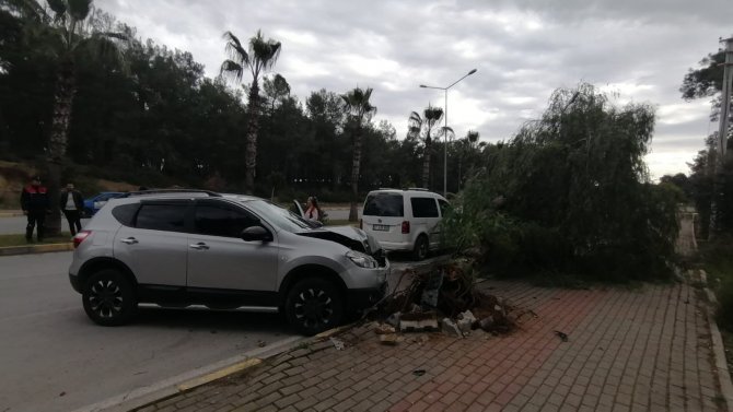 Kontrolden Çıkan Araç Kaldırımdaki Ağacı Yerinden Söktü: 1 Yaralı