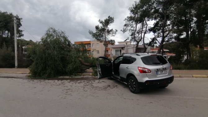 Kontrolden Çıkan Araç Kaldırımdaki Ağacı Yerinden Söktü: 1 Yaralı