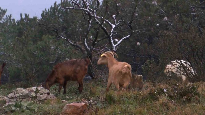 Beyaza Bürünen Aydos Tepesi Havadan Görüntülendi