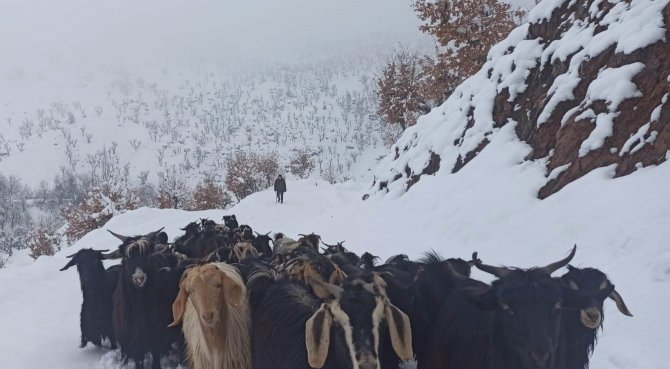 Batmanda 80 Köy Yolu Kar Yağışı Nedeniyle Ulaşıma Kapandı