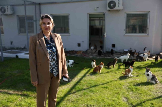 Antalya’da Can Dostlar Yeni Yuvalarına Kavuştu