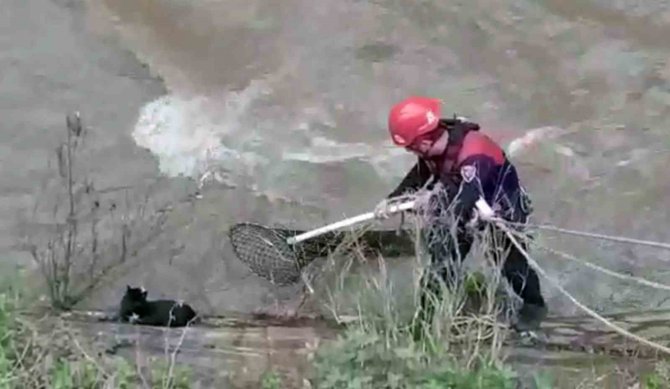 Derede Mahsur Kalan Kediyi İtfaiye Ekipleri Kurtardı