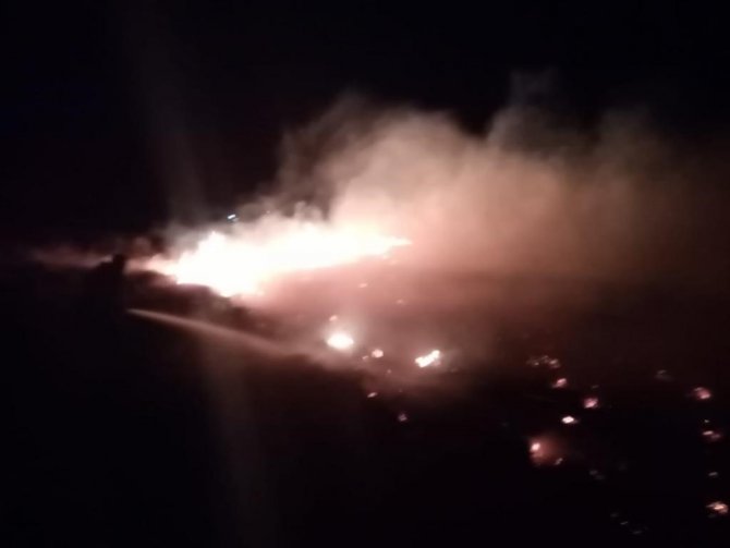Erzincan Anız Yangını