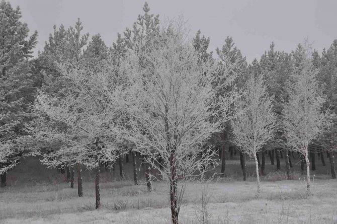 Kars’ta Soğuk Ve Sis Etkili Oluyor