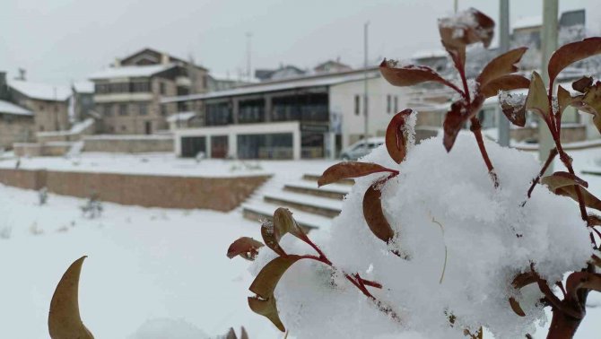 Arapgir Beyaza Büründü