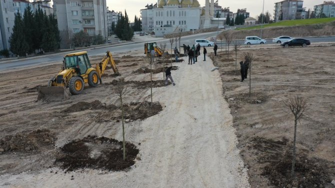 Koru Parkta Ağaç Dikimine Başlandı