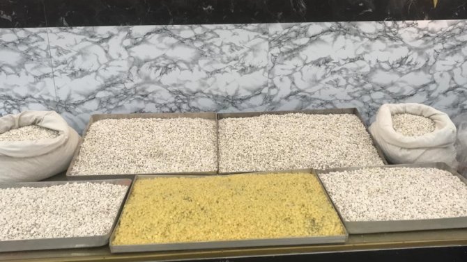 İ̇stanbul’da Uyuşturucu Operasyonları: 67 Gözaltı